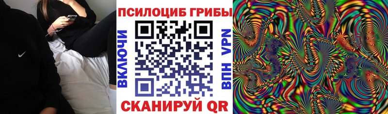 Псилоцибиновые грибы MAGIC MUSHROOMS  Новоузенск 