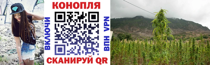 МЕГА вход  Новоузенск  Бошки марихуана семена 